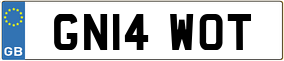 Truck License Plate